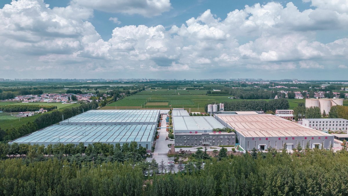 1692167399646423.jpg 111.jpg